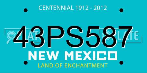 43PS587 New Mexico License Plate