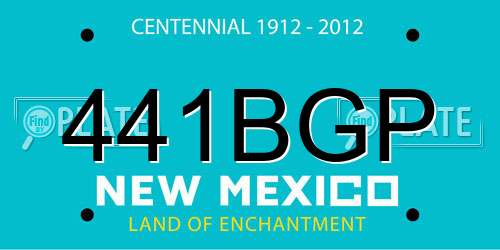 441BGP New Mexico License Plate