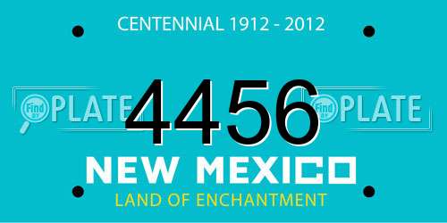 4456 New Mexico License Plate