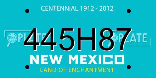445H87 New Mexico License Plate
