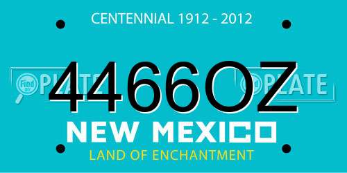 4466OZ New Mexico License Plate
