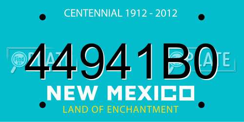 44941B0 New Mexico License Plate