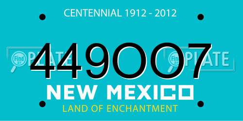449OO7 New Mexico License Plate