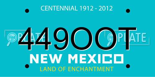 449OOT New Mexico License Plate