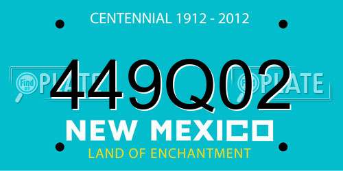449Q02 New Mexico License Plate