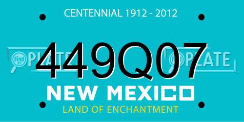 449Q07 New Mexico License Plate