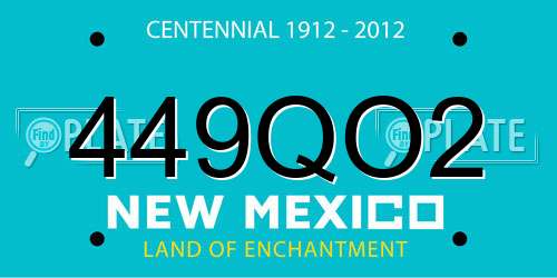 449QO2 New Mexico License Plate