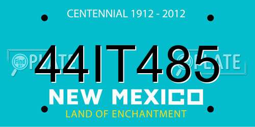 44IT485 New Mexico License Plate