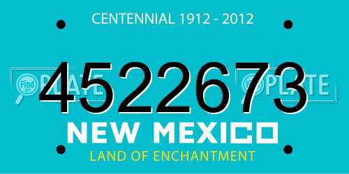 4522673 New Mexico License Plate