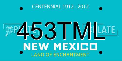 453TML New Mexico License Plate