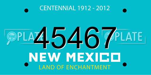 45467 New Mexico License Plate