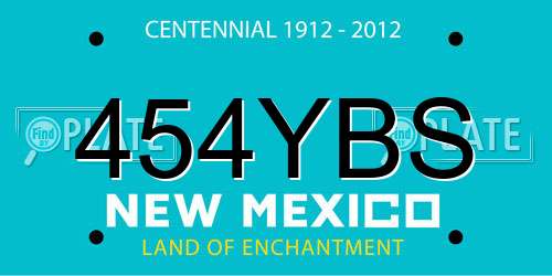 454YBS New Mexico License Plate
