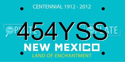 454YSS New Mexico License Plate