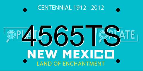 4565TS New Mexico License Plate