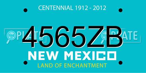 4565ZB New Mexico License Plate