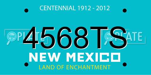 4568TS New Mexico License Plate