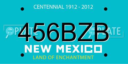 456BZB New Mexico License Plate