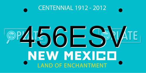 456ESV New Mexico License Plate