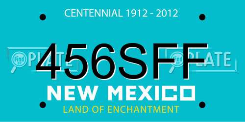 456SFF New Mexico License Plate