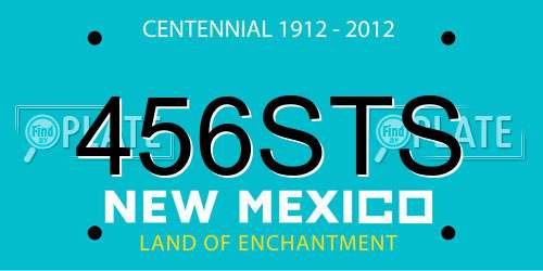 456STS New Mexico License Plate