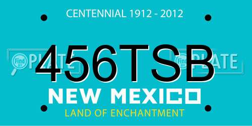 456TSB New Mexico License Plate