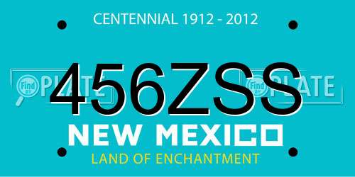 456ZSS New Mexico License Plate