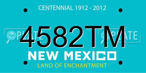 4582TM New Mexico License Plate