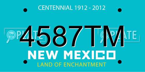 4587TM New Mexico License Plate