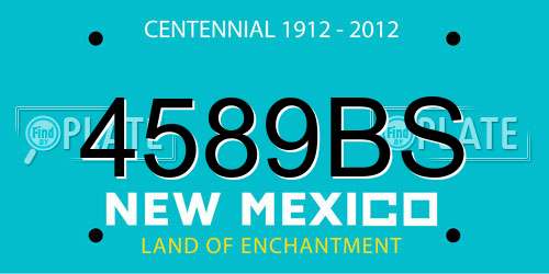 4589BS New Mexico License Plate