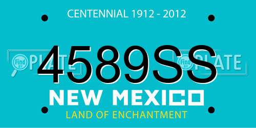 4589SS New Mexico License Plate
