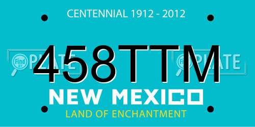 458TTM New Mexico License Plate