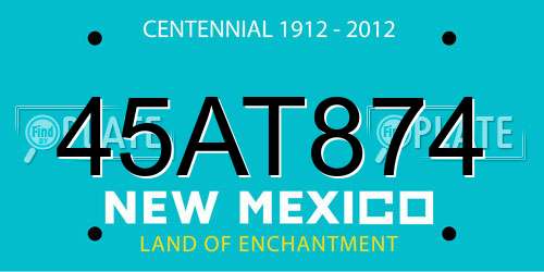 45AT874 New Mexico License Plate