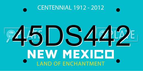 45DS442 New Mexico License Plate