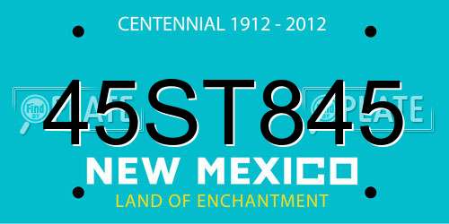 45ST845 New Mexico License Plate