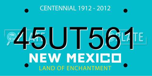 45UT561 New Mexico License Plate