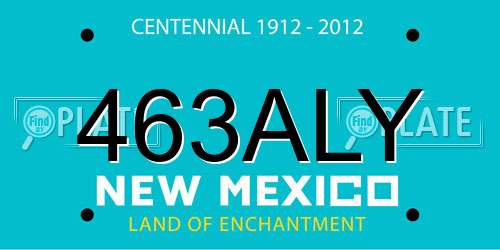 463ALY New Mexico License Plate