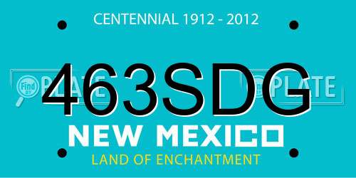 463SDG New Mexico License Plate
