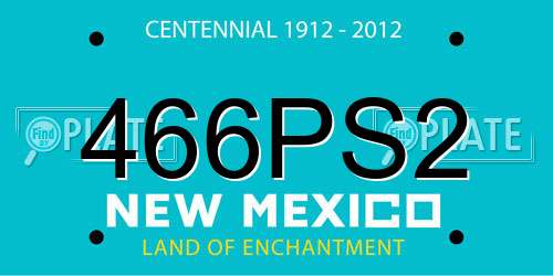 466PS2 New Mexico License Plate
