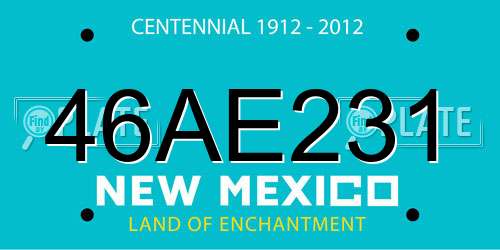 46AE231 New Mexico License Plate