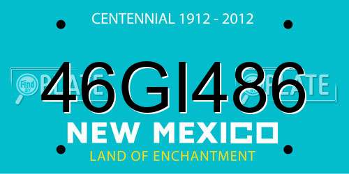 46GI486 New Mexico License Plate