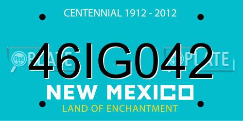 46IG042 New Mexico License Plate