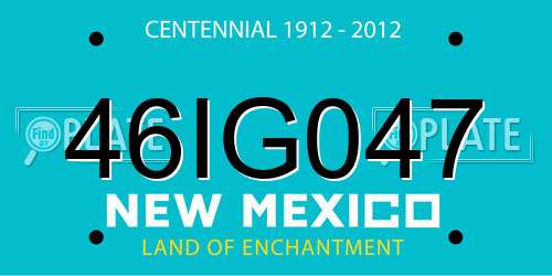 46IG047 New Mexico License Plate