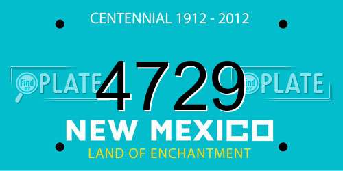 4729 New Mexico License Plate