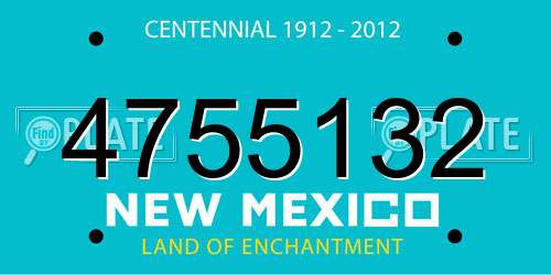 4755132 New Mexico License Plate