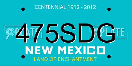 475SDG New Mexico License Plate