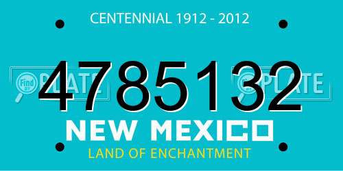 4785132 New Mexico License Plate