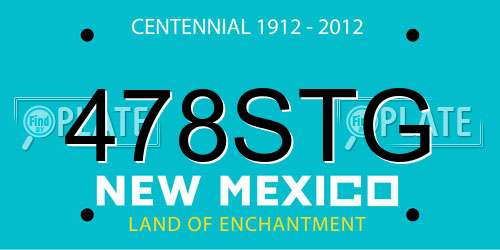 478STG New Mexico License Plate