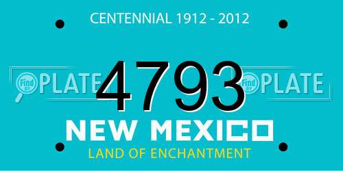 4793 New Mexico License Plate