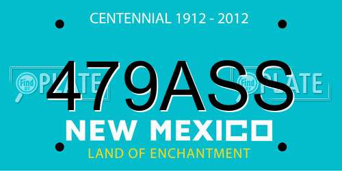479ASS New Mexico License Plate