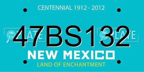 47BS132 New Mexico License Plate